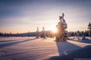 Things to Do in Rovaniemi Finland + Tips for your Visit