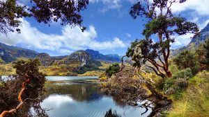 Hiking El Cajas National Park: Ecuador's Undiscovered Gem